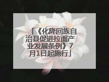 《化隆回族自治县促进拉面产业发展条例》7月1日起施行
