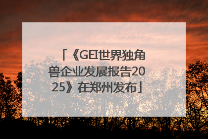 《GEI世界独角兽企业发展报告2025》在郑州发布