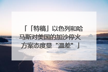 「特稿」以色列和哈马斯对美国的加沙停火方案态度显“温差”