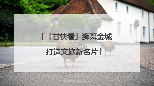 「甘快看」狮舞金城 打造文旅新名片