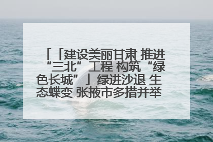 「建设美丽甘肃 推进“三北”工程 构筑“绿色长城”」绿进沙退 生态蝶变 张掖市多措并举加大防沙治沙力度