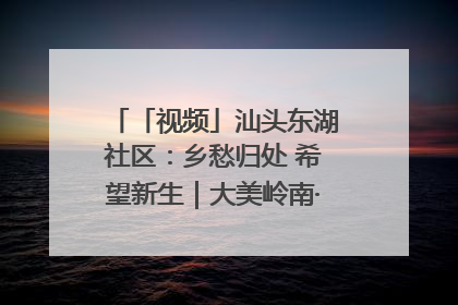 「视频」汕头东湖社区：乡愁归处 希望新生｜大美岭南·百村焕新记