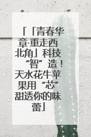 「青春华章·重走西北角」科技“智”造！天水花牛苹果用“芯”甜透你的味蕾