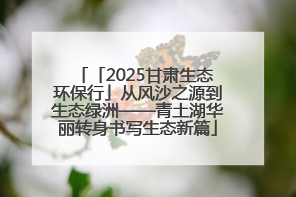 「2025甘肃生态环保行」从风沙之源到生态绿洲——青土湖华丽转身书写生态新篇