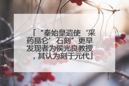 “秦始皇遣使‘采药昆仑’石刻”更早发现者为侯光良教授，其认为刻于元代