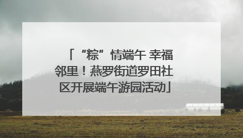 “粽”情端午 幸福邻里！燕罗街道罗田社区开展端午游园活动