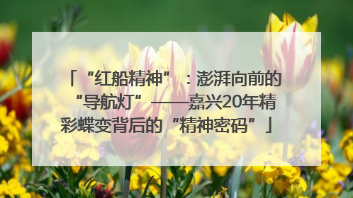 “红船精神”：澎湃向前的“导航灯”——嘉兴20年精彩蝶变背后的“精神密码”