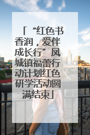 “红色书香润，爱伴成长行”凤城镇福蕾行动计划红色研学活动圆满结束