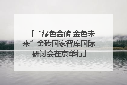 “绿色金砖 金色未来”金砖国家智库国际研讨会在京举行