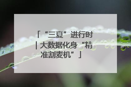 “三夏”进行时｜大数据化身“精准割麦机”