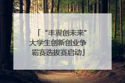 “丰翼创未来”大学生创新创业争霸赛选拔赛启动