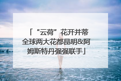 “云荷”花开并蒂 全球两大花都昆明&阿姆斯特丹强强联手