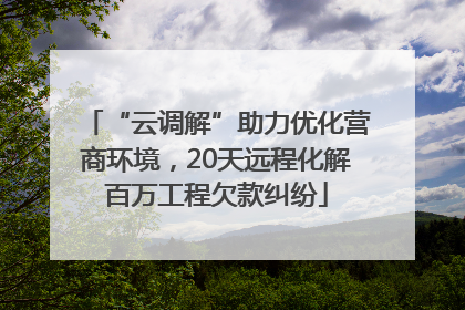 “云调解”助力优化营商环境，20天远程化解百万工程欠款纠纷