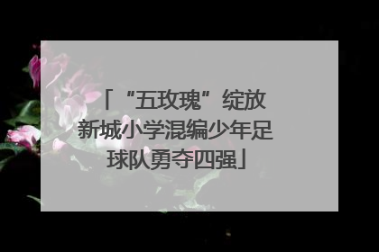 “五玫瑰”绽放 新城小学混编少年足球队勇夺四强