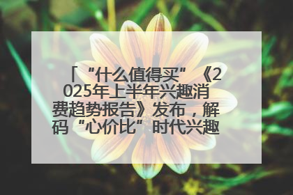 “什么值得买”《2025年上半年兴趣消费趋势报告》发布，解码“心价比”时代兴趣消费新范式