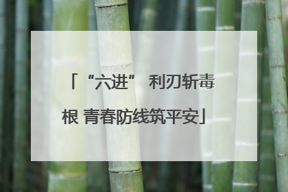 “六进” 利刃斩毒根 青春防线筑平安