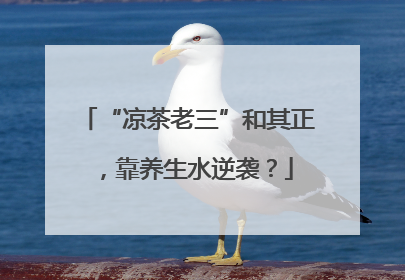 “凉茶老三”和其正，靠养生水逆袭？