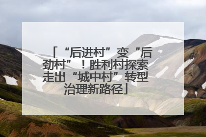 “后进村”变“后劲村”！胜利村探索走出“城中村”转型治理新路径