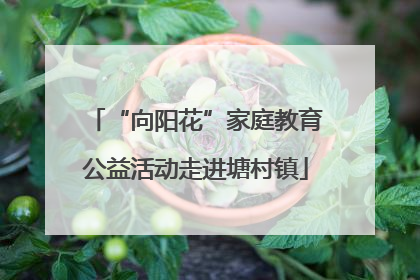 “向阳花”家庭教育公益活动走进塘村镇