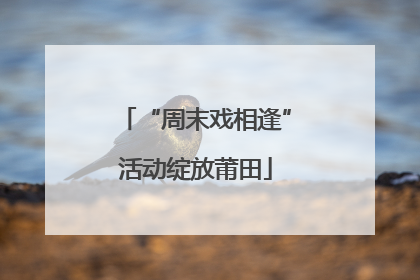 “周末戏相逢”活动绽放莆田