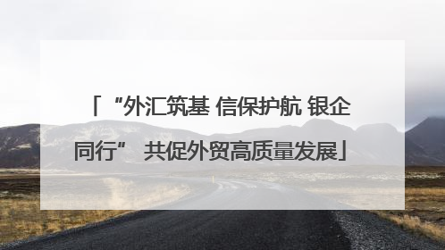 “外汇筑基 信保护航 银企同行” 共促外贸高质量发展