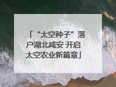 “太空种子”落户湖北咸安 开启太空农业新篇章