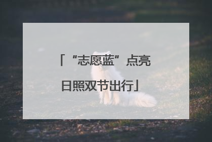 “志愿蓝”点亮日照双节出行