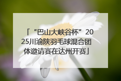 “巴山大峡谷杯”2025川渝陕羽毛球混合团体邀请赛在达州开赛