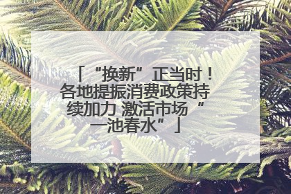 “换新”正当时！各地提振消费政策持续加力 激活市场“一池春水”