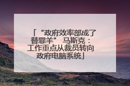 “政府效率部成了替罪羊” 马斯克：工作重点从裁员转向政府电脑系统