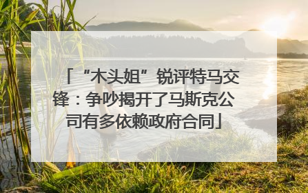 “木头姐”锐评特马交锋：争吵揭开了马斯克公司有多依赖政府合同
