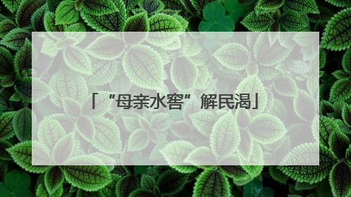 “母亲水窖”解民渴