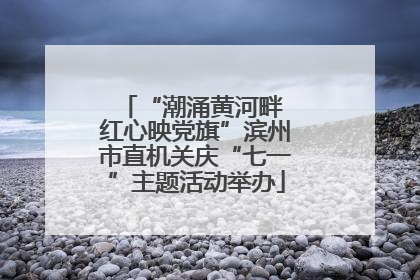 “潮涌黄河畔 红心映党旗”滨州市直机关庆“七一”主题活动举办