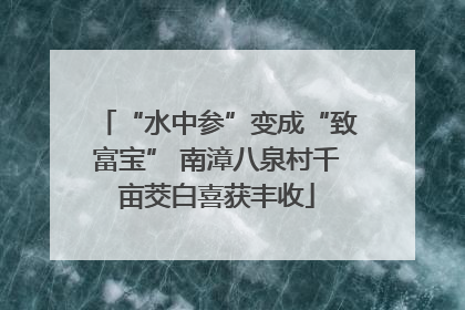 “水中参”变成“致富宝” 南漳八泉村千亩茭白喜获丰收