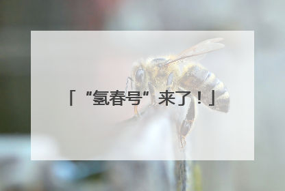 “氢春号”来了！