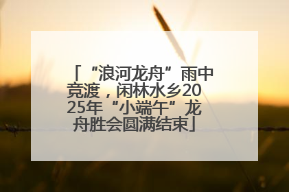 “浪河龙舟”雨中竞渡，闲林水乡2025年“小端午”龙舟胜会圆满结束