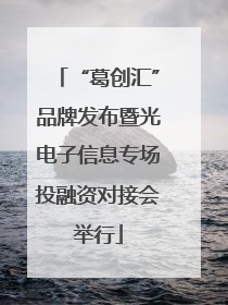 “葛创汇”品牌发布暨光电子信息专场投融资对接会举行