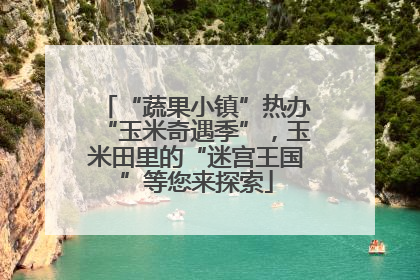 “蔬果小镇”热办“玉米奇遇季”，玉米田里的“迷宫王国”等您来探索