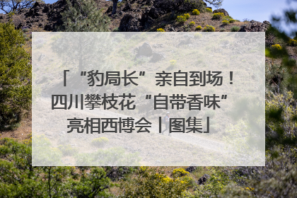 “豹局长”亲自到场！四川攀枝花“自带香味”亮相西博会丨图集