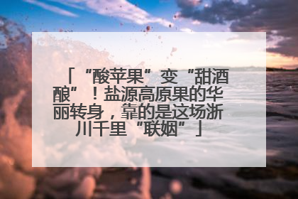 “酸苹果”变“甜酒酿”！盐源高原果的华丽转身，靠的是这场浙川千里“联姻”