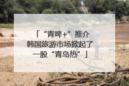 “青啤+”推介 韩国旅游市场掀起了一股“青岛热”