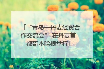 “青岛—丹麦经贸合作交流会” 在丹麦首都哥本哈根举行