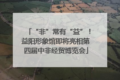 “非”常有“益”！益阳形象馆即将亮相第四届中非经贸博览会