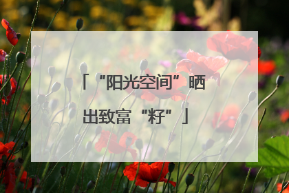 “阳光空间”晒出致富“籽”