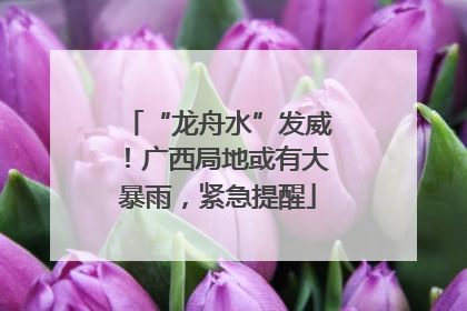 “龙舟水”发威！广西局地或有大暴雨，紧急提醒