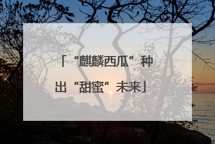 “麒麟西瓜”种出“甜蜜”未来