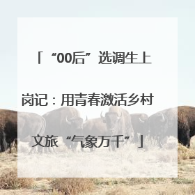 “00后”选调生上岗记：用青春激活乡村文旅“气象万千”