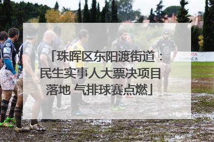 珠晖区东阳渡街道：民生实事人大票决项目落地 气排球赛点燃