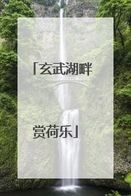 玄武湖畔赏荷乐