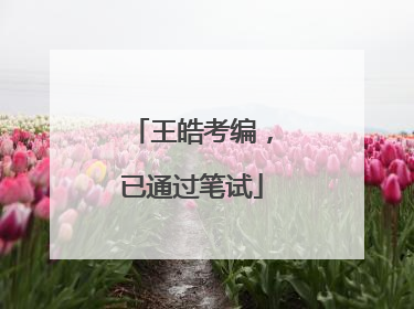 王皓考编，已通过笔试